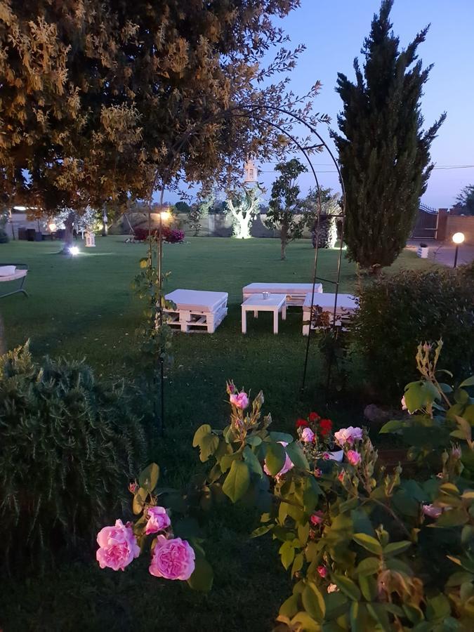 Villa Elegance Ladispoli Exteriör bild