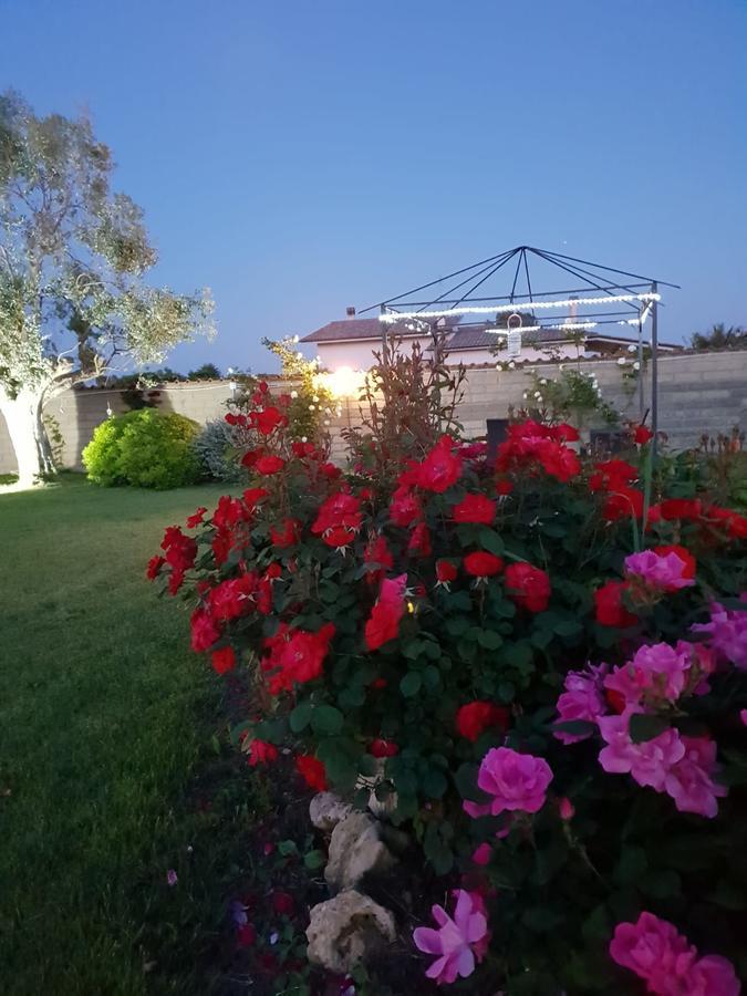 Villa Elegance Ladispoli Exteriör bild